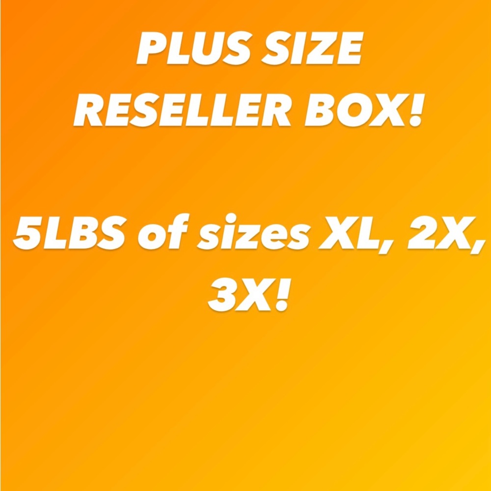 PLUS SIZE Reseller Box! Sizes XL, 2X & 3X!